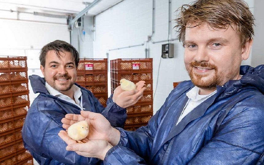 In Ovo: eggsperts met een missie in de pluimvee-industrie